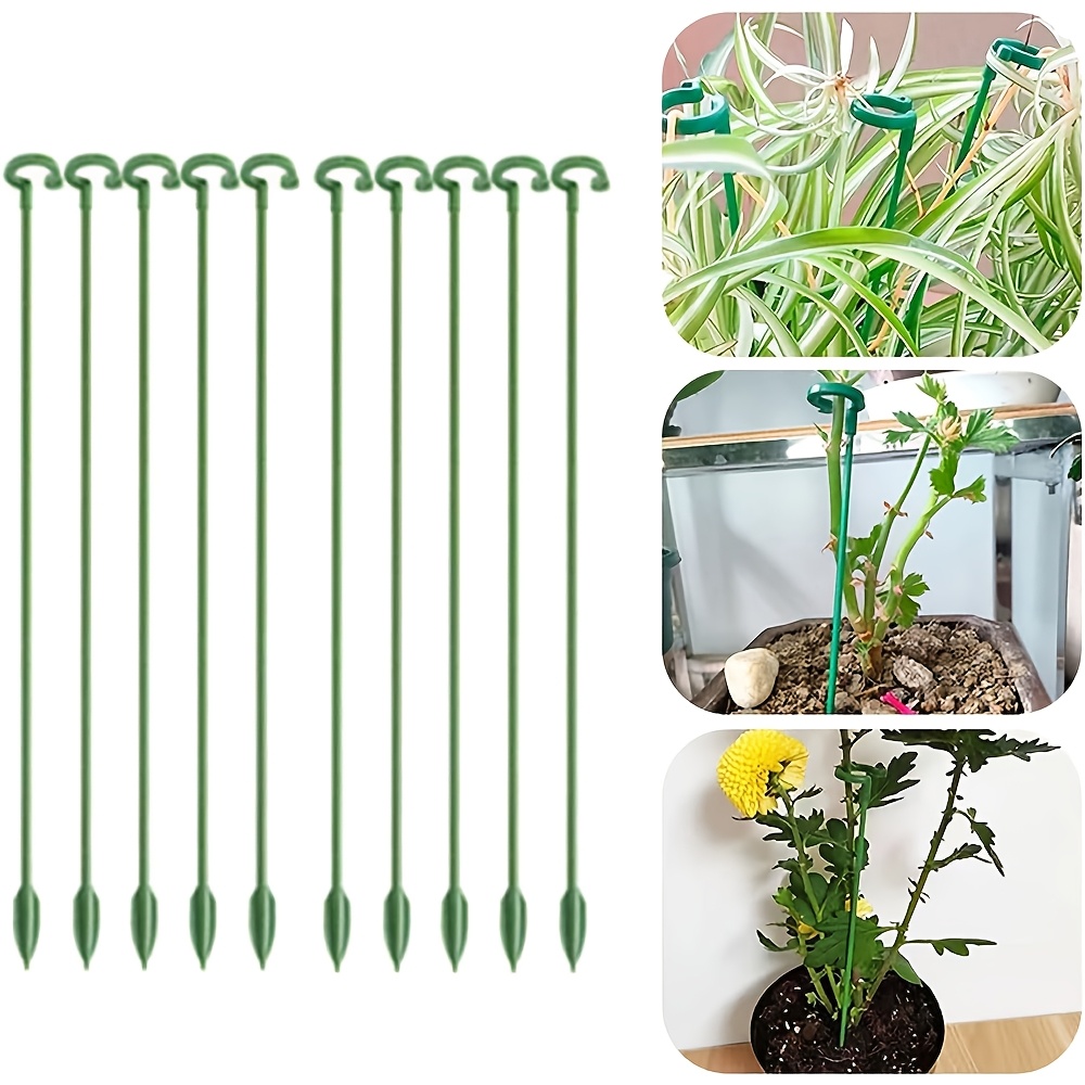 Florist Supp - 5/10 قطعة يدعم النبات حامل الفراشات