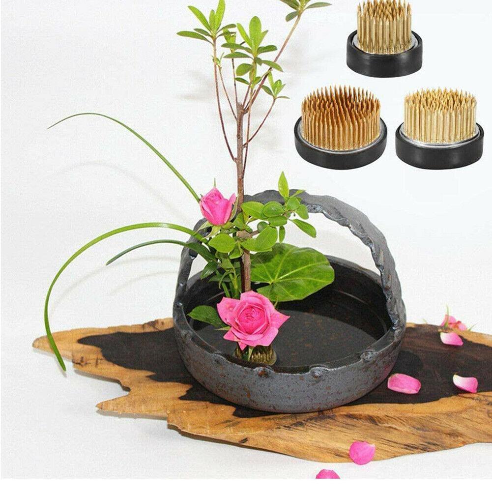 Flower Frog Pin - ضفدع زهرة ايكيبانا المستديرة مع حشية