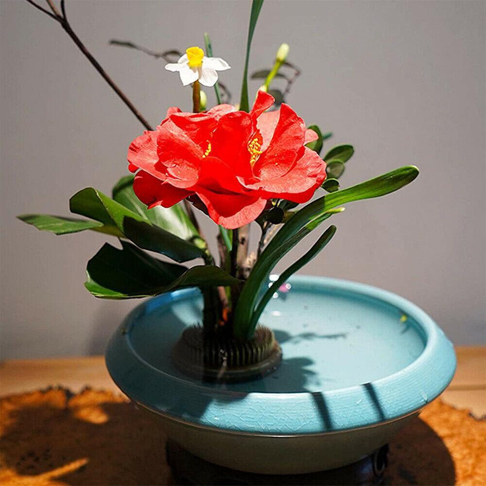 حامل زهور دائري على شكل ضفدع ل - مراجعة Flower Frog Pin وسعره