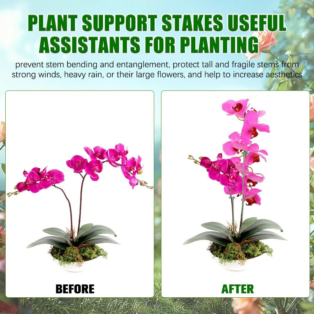 5/10 قطعة يدعم النبات حامل الف - مراجعة Florist Supp وسعره