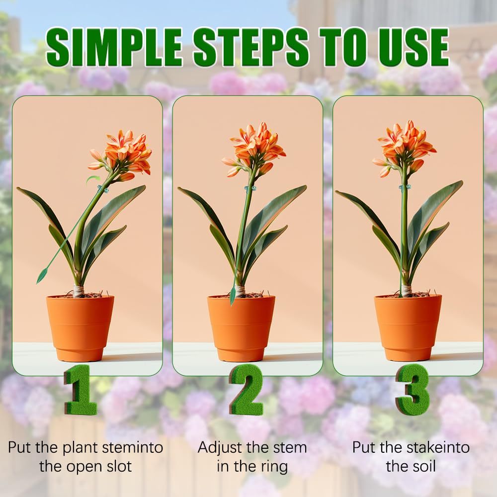 5/10 قطعة يدعم النبات حامل الف - مراجعة Florist Supp وسعره