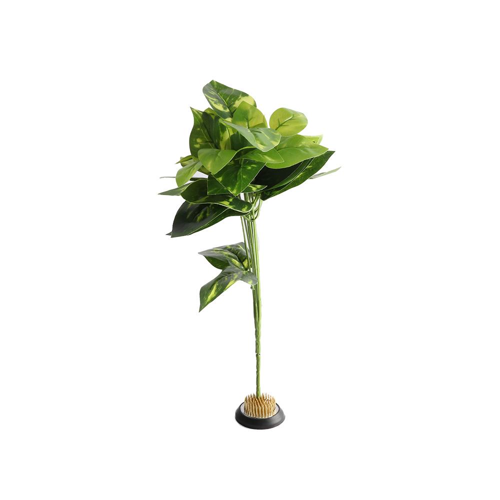 قاعدة كينزان مطاطية مدببة لترت - مراجعة Flower Frog Pin وسعره