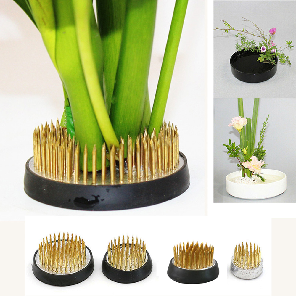 أداة تثبيت مطاطية بمسامير مدبب - مراجعة Flower Frog Pin وسعره