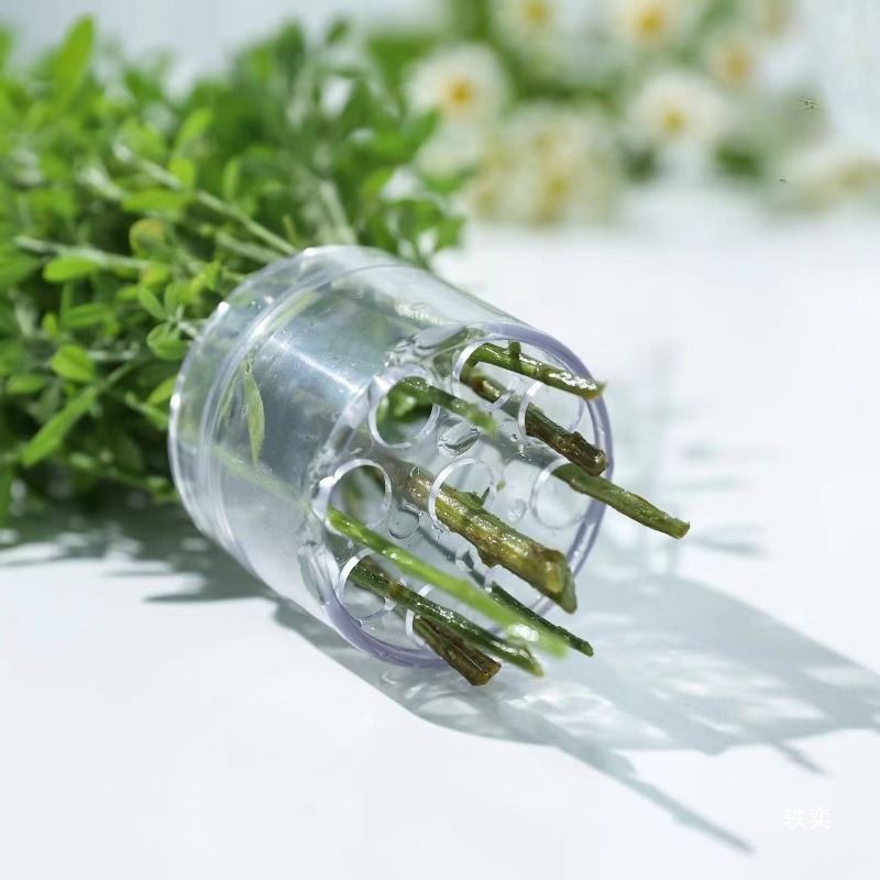 حامل جذع حلزوني، حامل ترتيب ال - مراجعة Florist Supp وسعره
