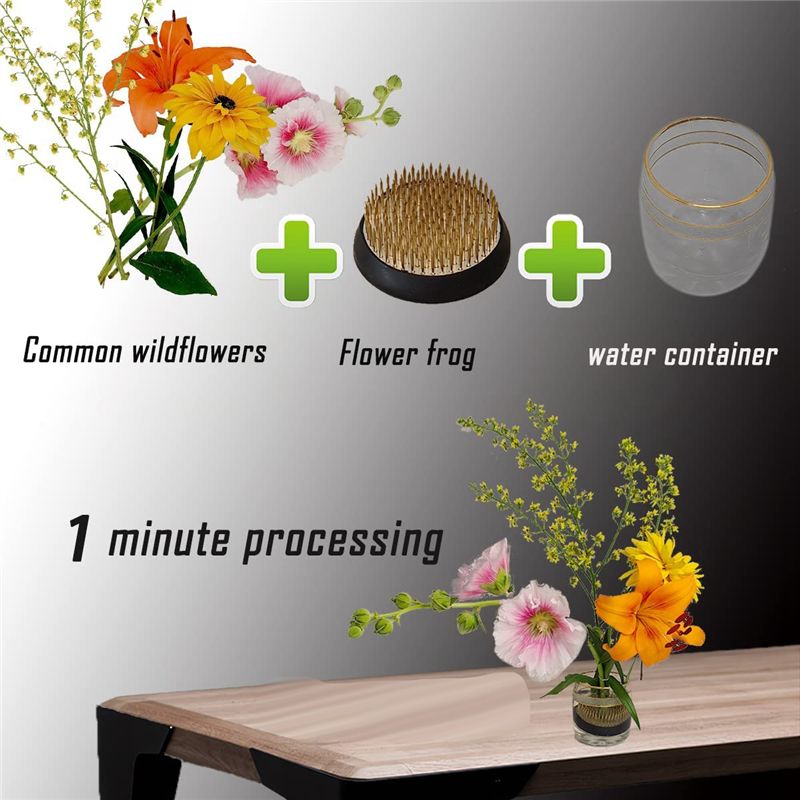 【تخفيضات تصفية】3 قطع من حاملات - مراجعة Flower Frog Pin وسعره